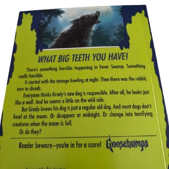 Set Of 3 R.L. STINE GOOSEBUMPS Fictional Books 1 Hardback 2 Paperback - Picture 2 of 7